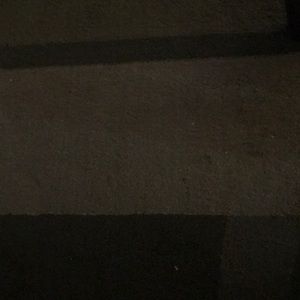 Meet your Posher, Loree